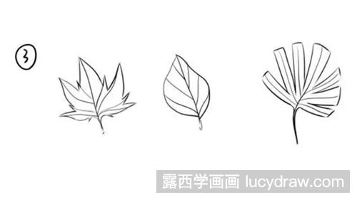 植物叶子的画法有哪些？叶子简笔画怎么画？