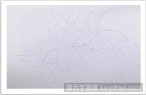 红色鸡蛋花怎么画？彩铅画蛋黄花绘画步骤有几步？