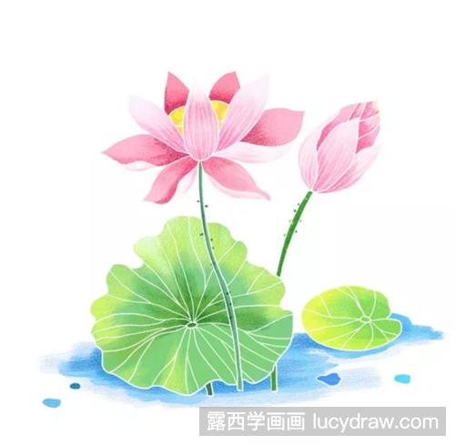 荷花简笔画法是什么？简笔画荷花怎么画？