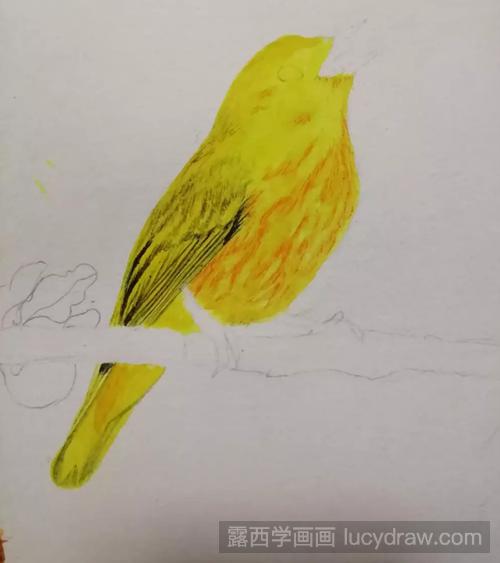 小黄鸟怎么画？水彩雀之灵具体画法是什么？
