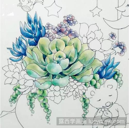 浪漫插画怎么画？教你画熊抱枕和多肉