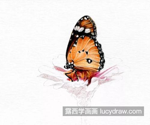 花上的蝴蝶怎么画？怎么画出蝴蝶的灵动？