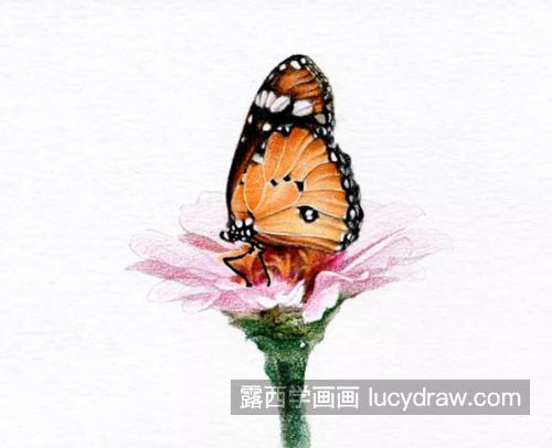 花上的蝴蝶怎么画？怎么画出蝴蝶的灵动？