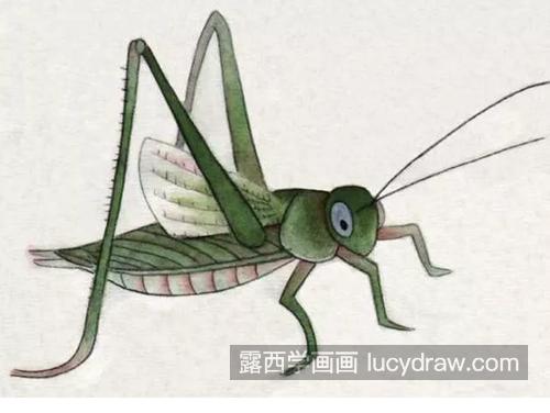 蚂蚱和螳螂怎么画？两种昆虫的工笔画法是什么？
