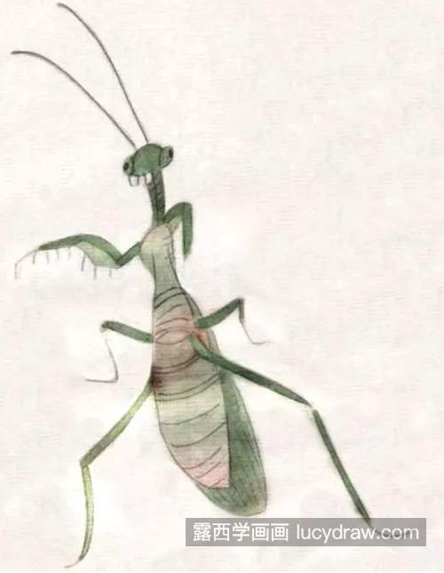 蚂蚱和螳螂怎么画？两种昆虫的工笔画法是什么？