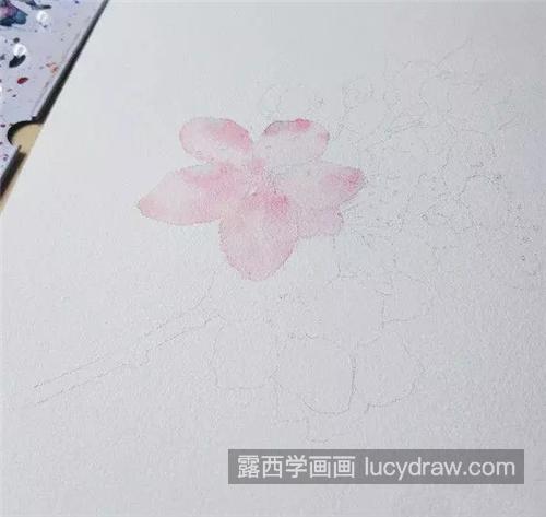 漂亮的樱花怎么画？樱花水彩画步骤有哪些？
