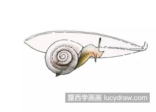 蜗牛怎么画？简单六个步骤教你画一只小蜗牛