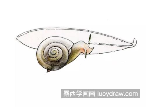 蜗牛怎么画？简单六个步骤教你画一只小蜗牛