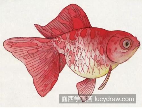怎么画蝴蝶和金鱼？它们的工笔画步骤有哪些？