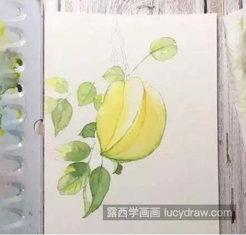 杨桃的画法是什么？杨桃水彩画教程是怎样的？