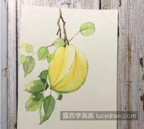 杨桃的画法是什么？杨桃水彩画教程是怎样的？