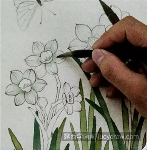 水仙花的画法是什么？工笔水仙如何分染？