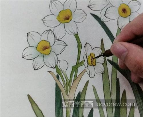 水仙花的画法是什么？工笔水仙如何分染？