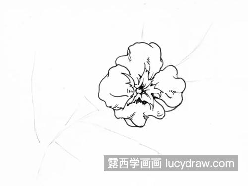 花卉线描怎么画？简单的花卉画法是什么？