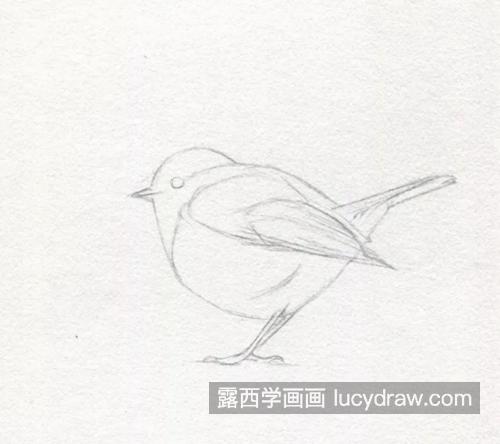 小小小鸟怎么画？呆萌小鸟的素描画法是什么？