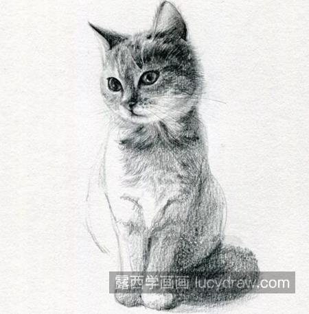 小猫咪怎么画？素描猫咪的画法是什么？