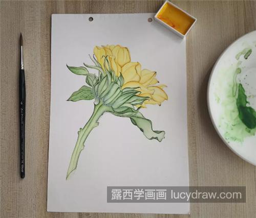 盛开的向日葵怎么画？超详细的向日葵水彩画教程分享