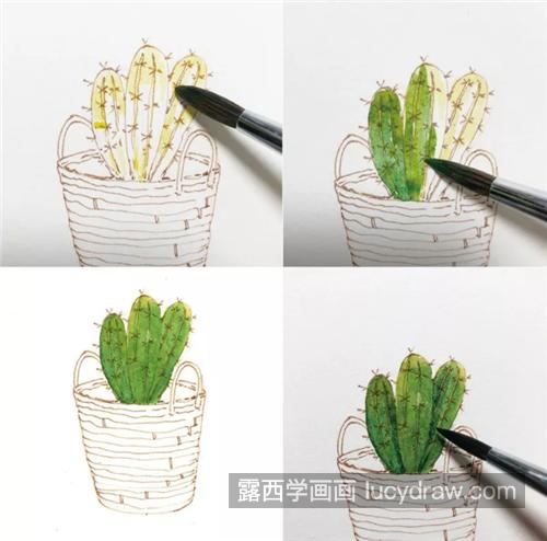 简单的盆栽怎么画？如何画好钢笔淡彩画？