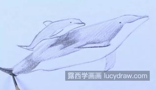 海豚怎么画？素描海豚的画法是什么？