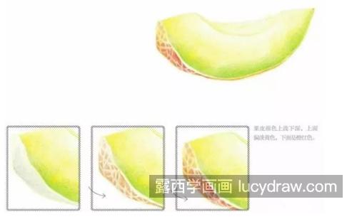 绿皮哈密瓜怎么画？初学者入门教程分享