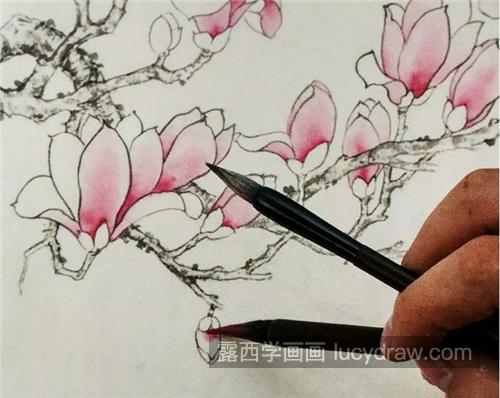 工笔玉兰花的画法是什么？玉兰花如何进行分染？