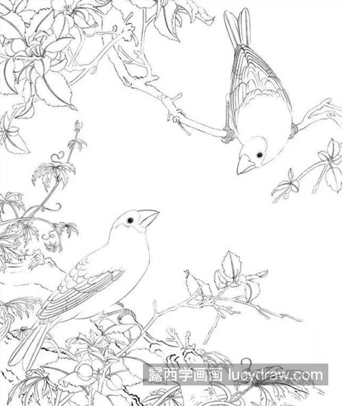 藤蔓上的两只鸟怎么画？详细的步骤有哪些？