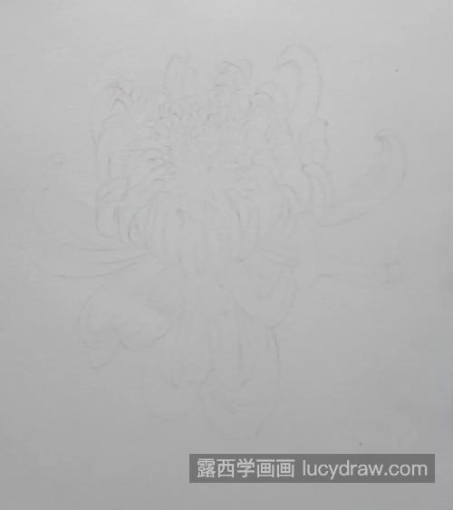 菊花的画法是什么？玫红色菊花怎么画？