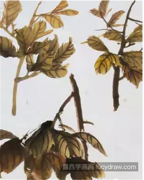 牡丹的花苞和枝叶怎么画？有什么绘画技巧？