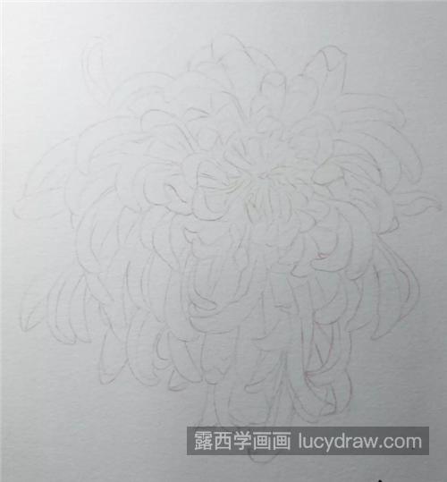 秋菊怎么画？彩铅手绘菊花的步骤有哪些？