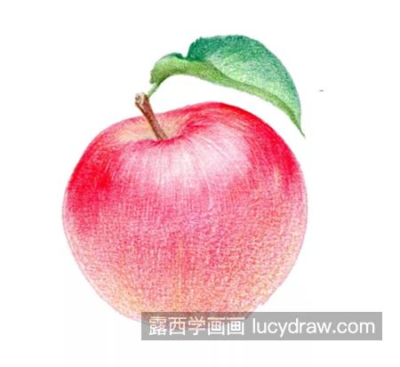 平安夜苹果怎么画？超简单的红苹果彩铅画法分享