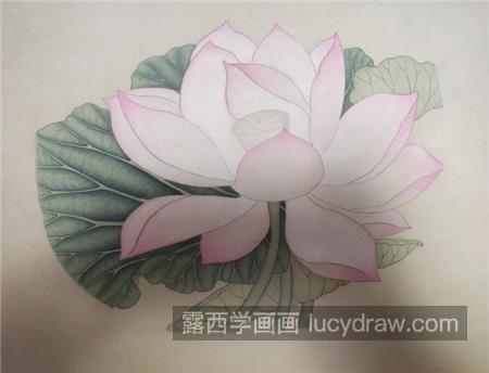 荷花的工笔画法是什么？绘画过程中如何绷框？