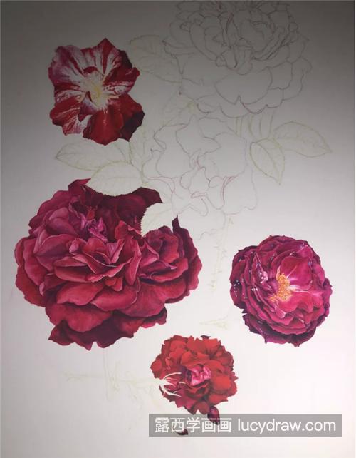 红玫瑰怎么画？超级立体的玫瑰水彩画步骤有哪些？