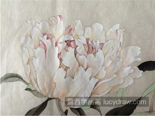 芍药花怎么画？别离草的工笔画步骤有哪些？