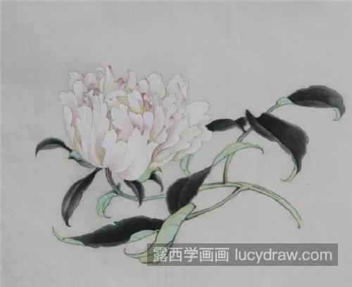 芍药花怎么画？别离草的工笔画步骤有哪些？