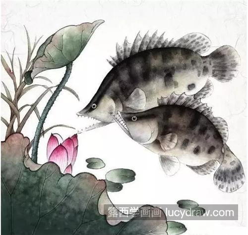 鳜鱼怎么画？详细的桂花鱼工笔画教程是什么？