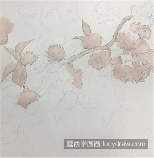 水彩樱花怎么画？具体步骤有哪些？