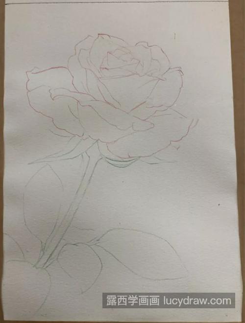红玫瑰怎么画？情人节玫瑰画法是什么？