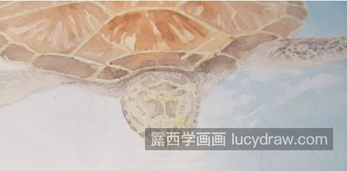 绿海龟怎么画？海龟的水彩步骤是什么？