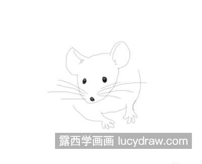 老鼠怎么画？简笔画老鼠有哪些步骤？