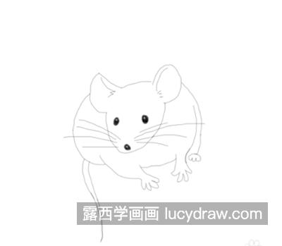 老鼠怎么画？简笔画老鼠有哪些步骤？