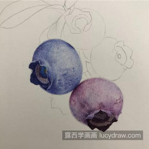 如何画好一串蓝莓？超级详细的彩铅步骤分享