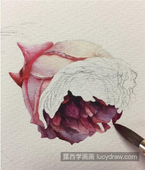 逼真的玫瑰花怎么画？超级详细的玫瑰水彩教程分享