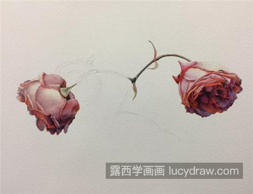 逼真的玫瑰花怎么画？超级详细的玫瑰水彩教程分享