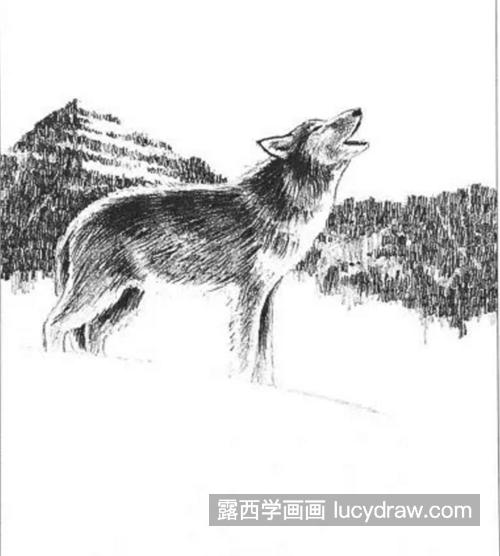 野狼怎么画？呼啸的狼的画法是什么？