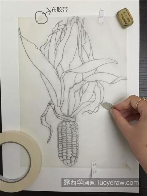 玉米怎么画？超级逼真的包谷水彩画教程分享