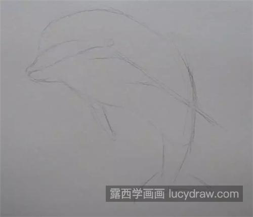 海豚怎么画？详细的素描画法是什么？