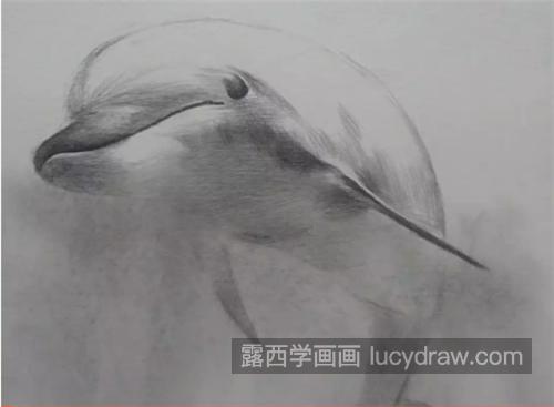 海豚怎么画？详细的素描画法是什么？