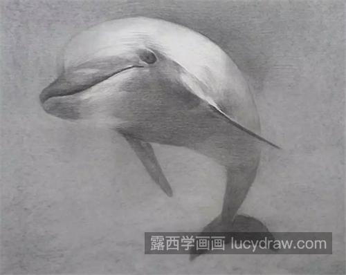 海豚怎么画？详细的素描画法是什么？