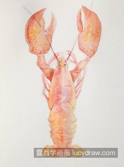 烤波士顿龙虾怎么画？美食水彩画步骤有几步？