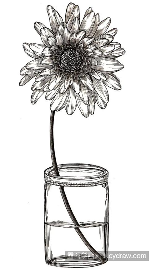 玻璃瓶中的小菊花怎么画？线描如何绘画？